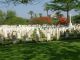 Cairo War Memorial Cemetery, Heliopolis, Egypt which is the burial place of No. 954, Private Leslie John SHIELLS, F Company, 15th. Battalion, Australian Infantry, AIF.