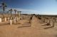 Tobruk War Cemetery, Libya