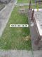 The unmarked grave of Alice Dorothy May McGINTY (b. & d. 1890)