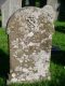 Headstone of Francis Thomas BARFETT (1860-1884).