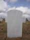 Headstone of Louella Marie WARD (m.n. PUTNEY, 1934-2011)