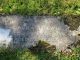 Headstone of Laura TREWIN (m.n. JENNINGS, 1902-1954)