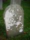 Headstone of Richard JENNINGS (1813-1889).