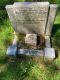 Walter Thomas VANSTONE (1896-1960) and his wife Hilda Jane (m.n. BOND, 1894-1984_