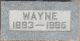 Headstone of Wayne VINSON (1893-1985).